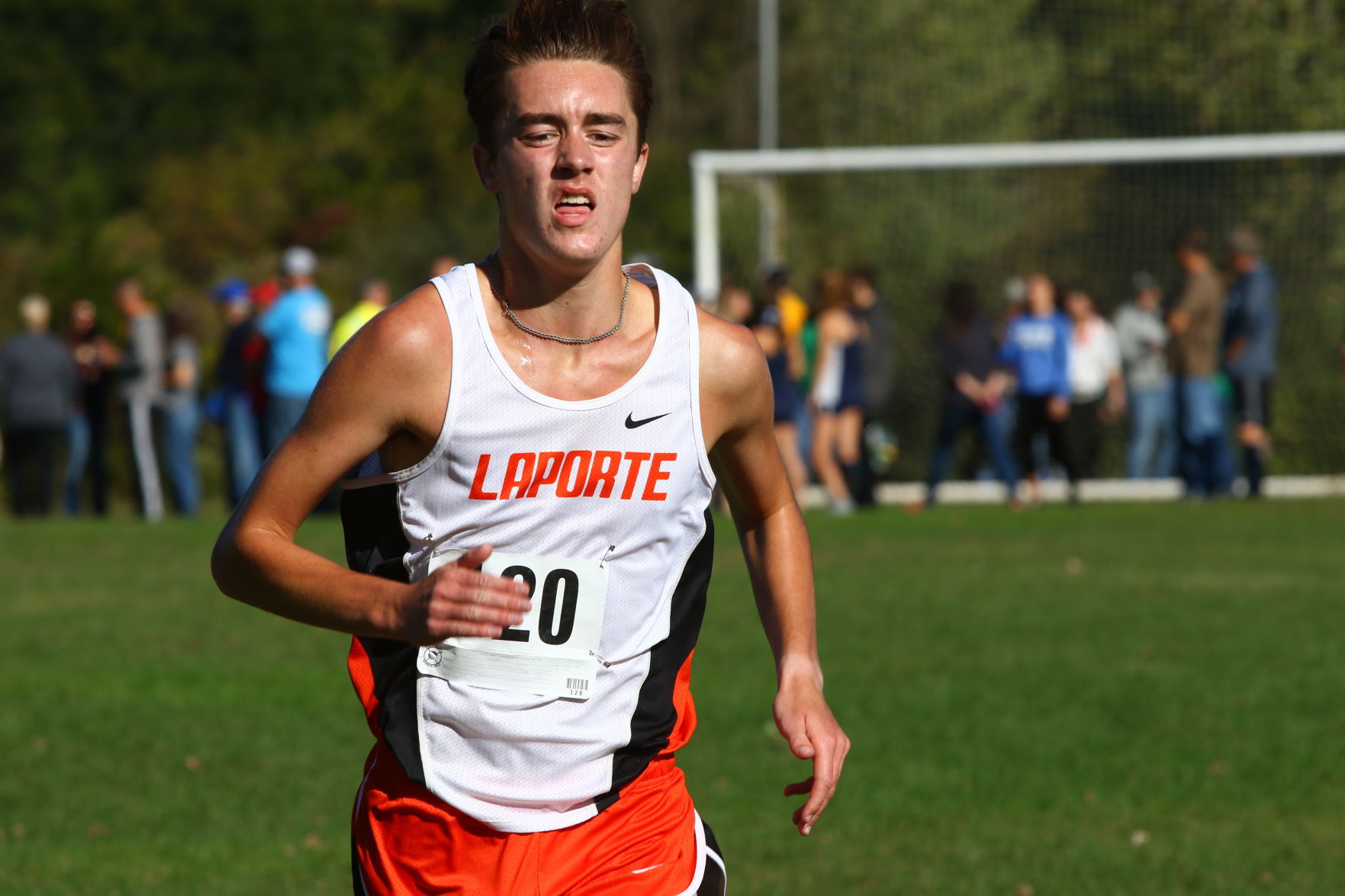 Gallery: Duneland Athletic Conference cross country meet